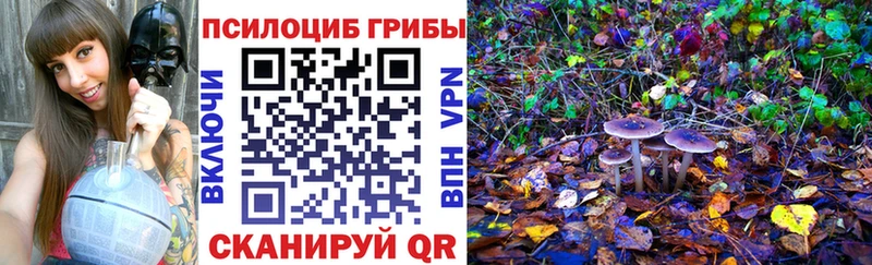 закладка  ссылка на мегу ссылка  Псилоцибиновые грибы MAGIC MUSHROOMS  Камызяк 