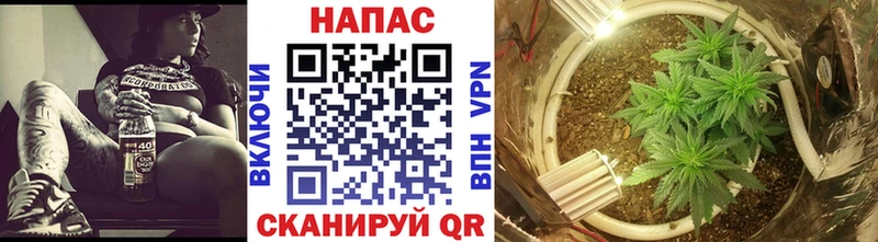 сайты даркнета Telegram  Камызяк  Конопля White Widow 